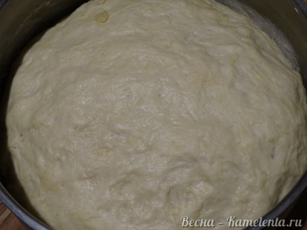 Приготовление рецепта Дрожжевое тесто для пирогов, булок, пирожков шаг 7