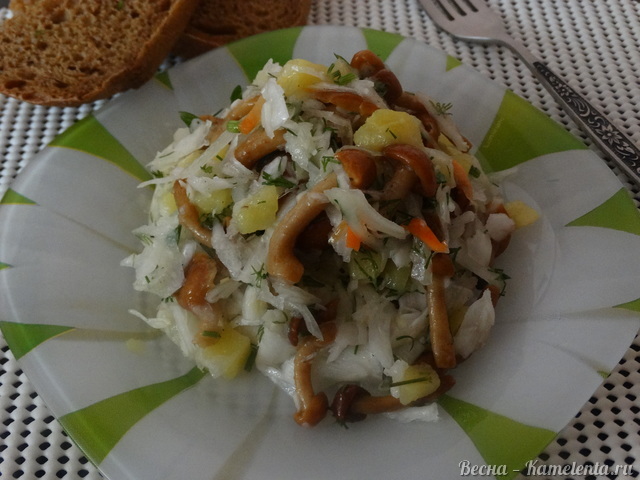 Рецепт салата из квашенной капусты с грибами