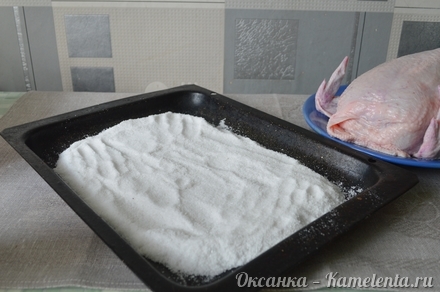 Приготовление рецепта Курица на соли шаг 2