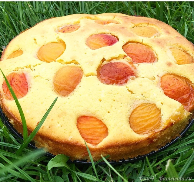 Рецепт абрикосового пирога