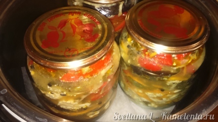 Приготовление рецепта Баклажаны маринованные с цветной капустой и гогошарами шаг 10