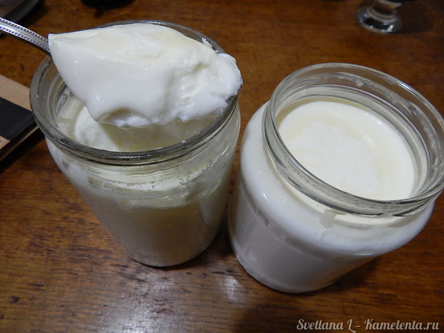 Рецепт домашнего йогурта