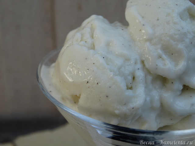 Рецепт ванильного мороженого из йогурта