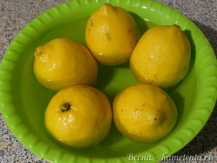 Приготовление рецепта Заквашенные лимоны шаг 2