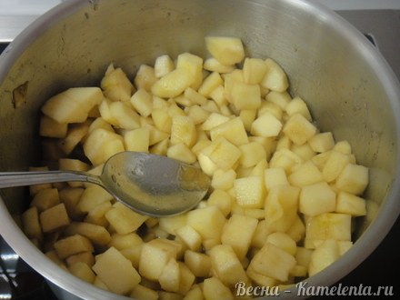 Приготовление рецепта Яблоки с творожным сыром, мёдом  и мюслями шаг 9