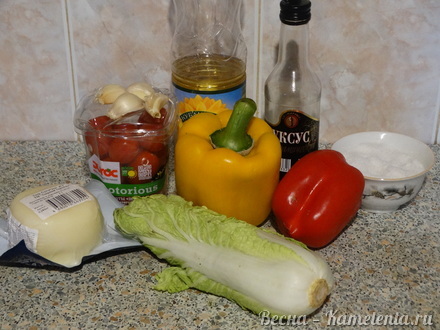 Приготовление рецепта Тёплый салат с болгарским перцем и  сыром сулугуни шаг 1