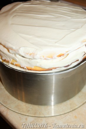 Приготовление рецепта Торт &quot;Молочная девочка&quot; (Milch Mädchen) со сливочно-йогуртовым кремом и фруктами-ягодами шаг 10