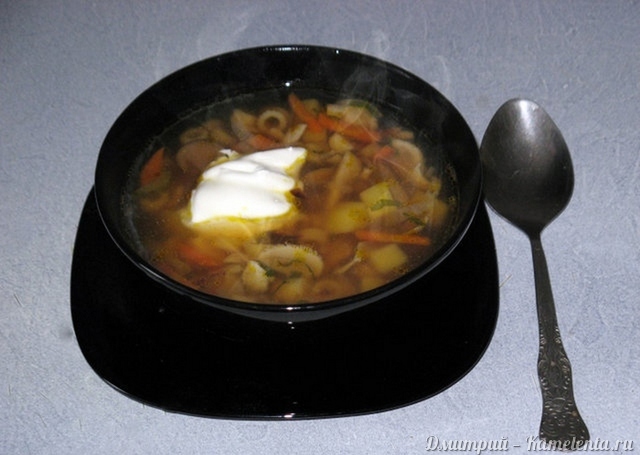 Рецепт супа из вёшенок