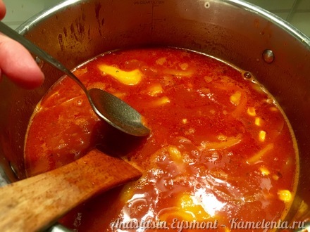 Приготовление рецепта Мексиканский суп шаг 8
