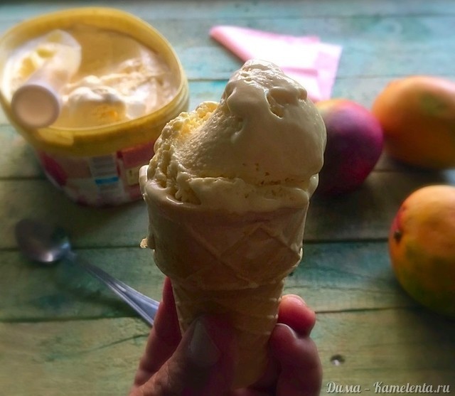 Рецепт домашнего мангового мороженого