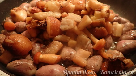 Приготовление рецепта Куриные сердечки с грибами в сметане шаг 4