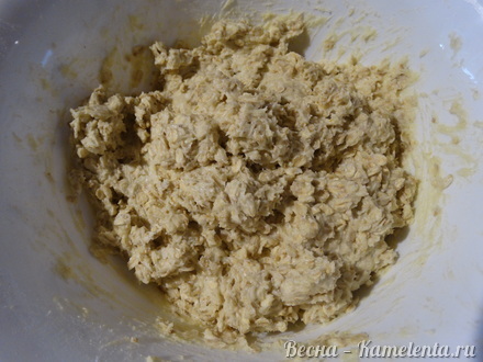 Приготовление рецепта Медовое овсяное печенье шаг 9