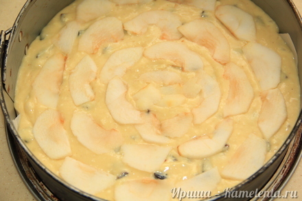 Приготовление рецепта Творожный пирог с черносливом и яблоком шаг 6